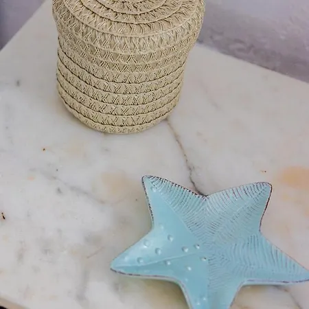 Coral Blue * Barbati