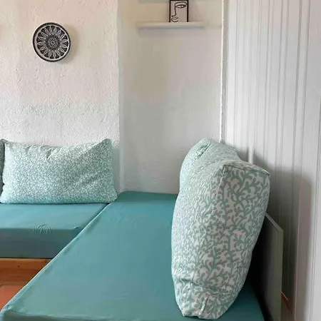 Coral Blue * Барбати